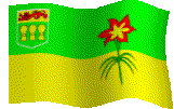 sk-flag1.gif